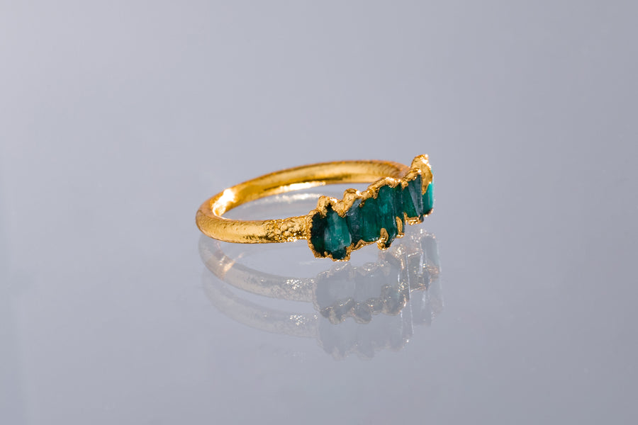 Anillo Canutillo