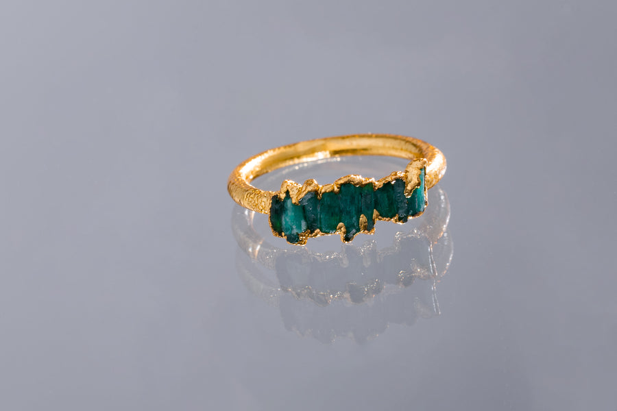 Anillo Canutillo